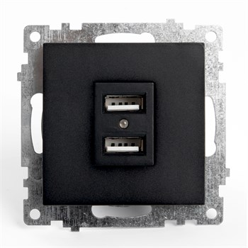 Розетка USB 2-местная (механизм), STEKKER GLS10-7115-05, 250B, 2,1А, серия Катрин, черный - фото 136026