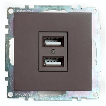 Розетка USB 2-местная (механизм), STEKKER GLS10-7115-04, 250B, 2,1А, серия Катрин, шоколад - фото 140023