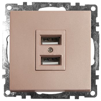 Розетка USB 2-местная (механизм), STEKKER GLS10-7115-02, 250B, 2,1A, серия Катрин, шампань 39602 - фото 179245