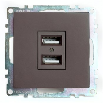 Розетка USB 2-местная (механизм), STEKKER GLS10-7115-04, 250B, 2,1А, серия Катрин, шоколад 49027 - фото 180985