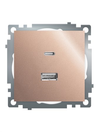 Розетка 2-местная USB + type C (механизм), STEKKER GLS10-7116-02, 250B, 3A, max 20W, серия Катрин, шампань 50056 - фото 184853