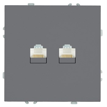 Розетка компьютерная 2-местная RJ-45 (механизм), STEKKER, серия Эмили, RST00-5111-10, платиново-серый, soft touch 49952 - фото 186030