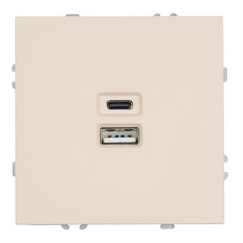 Розетка 2-местная USB + Type C (механизм), STEKKER, 250В, 20W, серия Эмили, RST10-5115-08, кашемир, soft touch 49905 - фото 186389