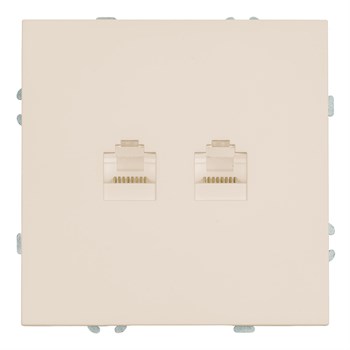 Розетка компьютерная 2-местная RJ-45 (механизм), STEKKER, серия Эмили, RST00-5111-08, кашемир, soft touch 49900 - фото 186833