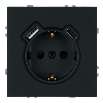 Розетка 1-местная з/ш с/з 16А + USB + Type C (механизм), Stekker, 250В, 20W, серия Эмили, черный уголь, soft-touch, RST16-5119-05 50218 - фото 187516