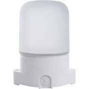 Светильник накладной прямой для бани и сауны IP65, 230V 60Вт Е27, НББ 01-60-001