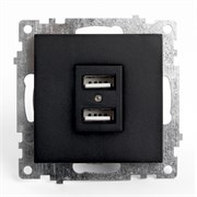 Розетка USB 2-местная (механизм), STEKKER GLS10-7115-05, 250B, 2,1А, серия Катрин, черный