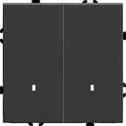 Выключатель 2-клавишный c индикатором (механизм), STEKKER, 250В, 10А, серия Эмили, RSW10-5102-05, черный уголь, soft touch