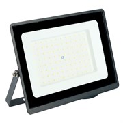 Светодиодный прожектор Feron LL-936 IP65 100W 6400K 52109