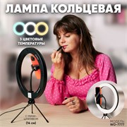 Кольцевая лампа Uzumi 245 мм с USB проводом, с регул. цвет.тем-ры 3000-6000К, WD-7777 48164