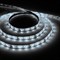 Светодиодная LED лента Feron LS604, 60SMD(2835)/m 4.8W/m 12V 1m 6500К 27752 - фото 129699