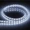 Cветодиодная LED лента Feron LS705, 120SMD(5730)/м 11Вт/м  50м 220V 6500K IP65 - фото 131945