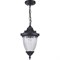 Светильник садово-парковый Feron PL585 на цепочке  60W 230V E27, черный - фото 133270