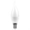 Лампа светодиодная Feron LB-570 Свеча на ветру E14 9W 175-265V 6400K 38136 - фото 135197 Лампа светодиодная Feron LB-570 Свеча на ветру E14 9W 175-265V 6400K 38136 - фото 135197