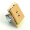 Розетка 2-местная USB (механизм), STEKKER, GLS10-7115-08, 250В, 2,1А, серия Катрин, золото 49229 - фото 146294 Розетка 2-местная USB (механизм), STEKKER, GLS10-7115-08, 250В, 2,1А, серия Катрин, золото 49229 - фото 146294