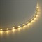 Лента светодиодная SST01 SAFFIT 60SMD(2835)/m 6Вт/м 12V 5000*8*1.22мм 3000K, IP20 55237 - фото 150465
