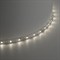 Лента светодиодная SST01 SAFFIT 60SMD(2835)/m 6Вт/м 12V 5000*8*1.22мм 4000K, IP20 55238 - фото 150472