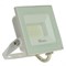 Светодиодный прожектор Feron LL-920 IP65 30W 6400K 29496 - фото 151529 Светодиодный прожектор Feron LL-920 IP65 30W 6400K 29496 - фото 151529