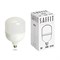 Лампа светодиодная SAFFIT SBHP1070 E27-E40 70W 230V 6400K 55099 - фото 151613 Лампа светодиодная SAFFIT SBHP1070 E27-E40 70W 230V 6400K 55099 - фото 151613