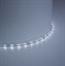 Светодиодная LED лента Feron LS604, 60SMD(2835)/m 4.8W/m 12V 1m 6500К 27752 - фото 152965