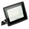 Светодиодный прожектор Feron LL-920 IP65 30W 6400K 32101 - фото 164009 Светодиодный прожектор Feron LL-920 IP65 30W 6400K 32101 - фото 164009