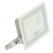Светодиодный прожектор Feron LL-920 IP65 30W 6400K 29496 - фото 164045 Светодиодный прожектор Feron LL-920 IP65 30W 6400K 29496 - фото 164045