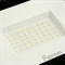 Светодиодный прожектор Feron LL-931 IP65 70W 6400K 41551 - фото 164177