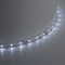 Лента светодиодная SST01 SAFFIT 60SMD(2835)/m 6Вт/м 12V 5000*8*1.22мм 6500K, IP20 55239 - фото 164883