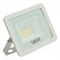 Светодиодный прожектор SAFFIT SFL90-10 IP65 10W 6400K белый 55070 - фото 166856