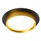 Светильник встраиваемый Feron DL507 потолочный GX53 черный + золото круг 51356 - фото 168931