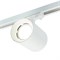 Светильник Feron AL169 трековый однофазный на шинопровод под лампу GU10, белый 51849 - фото 170147