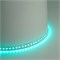 Светодиодная LED лента Feron LS501, 120SMD(3535)/м 11Вт/м 24V 5000*10*1.5мм RGB IP20 51823 - фото 171987