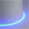 Светодиодная LED лента Feron LS501, 120SMD(3535)/м 11Вт/м 24V 5000*10*1.5мм RGB IP20 51823 - фото 171988