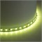 Светодиодная COB лента Feron LS530, 320SMD(2110) 10Вт/м 24V 5000*8*1.8мм 3000К IP20 53336 - фото 175136