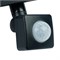 Светодиодный прожектор SAFFIT с выносным датчиком SFL80-30 IP65 30W 6400K черный 29523 - фото 175265