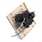 Розетка 1-местная с/з, STEKKER, PST16-9011-02 250В, 16А с защитной шторкой и с USB, серия Эрна, слоновая кость 39237 - фото 178360