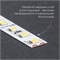 Светодиодная LED лента Feron LS500, 60SMD(2835)/м 6Вт/м 24V 5000*8*1.22мм 6000К IP20 41526 - фото 178649