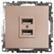 Розетка USB 2-местная (механизм), STEKKER GLS10-7115-02, 250B, 2,1A, серия Катрин, шампань 39602 - фото 179245