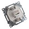 Розетка компьютерная 1-местная RJ-45 (механизм), STEKKER GLS00-7107-02, серия Катрин, шампань 39599 - фото 179340