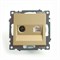 Розетка TV + компьютерная RJ-45 (механизм), STEKKER, GLS00-7106-08, серия Катрин, золото 49230 - фото 183480