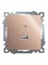 Розетка 2-местная USB + type C (механизм), STEKKER GLS10-7116-02, 250B, 3A, max 20W, серия Катрин, шампань 50056 - фото 184853