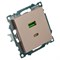 Розетка 2-местная USB + type C (механизм), STEKKER GLS10-7116-02, 250B, 3A, max 20W, серия Катрин, шампань 50056 - фото 184854