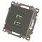 Розетка 2-местная USB (механизм), 250В, 2,1А, серия Катрин, графит, GLS10-7115-06 49422 - фото 184946