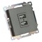 Розетка 2-местная USB (механизм), 250В, 2,1А, серия Катрин, графит, GLS10-7115-06 49422 - фото 184947