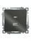 Розетка 2-местная USB + type C (механизм), 250В, 3А, max 20W, серия Катрин, графит, GLS10-7116-06 50052 - фото 185073