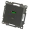 Розетка 2-местная USB + type C (механизм), 250В, 3А, max 20W, серия Катрин, графит, GLS10-7116-06 50052 - фото 185076