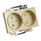 GLS10-7113-08 Розетка 2-местная с защитной шторкой (механизм) б/з, 250В, 10А, серия Катрин, золото 49225 - фото 185766