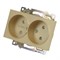 GLS10-7113-08 Розетка 2-местная с защитной шторкой (механизм) б/з, 250В, 10А, серия Катрин, золото 49225 - фото 185767