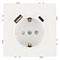 Розетка 1-местная з/ш с/з 16А + USB + Type C (механизм), Stekker, 250В, 20W, серия Эмили, белый фарфор, soft-touch, RST16-5119-01 50217 - фото 187530