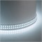 Лента светодиодная двухрядная, 288SMD(2835)/м 30Вт/м 24V 5000*20*1.8мм 6500К, IP20 , LS509 FERON 53477 - фото 192876